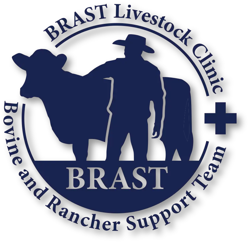 株式会社BRAST