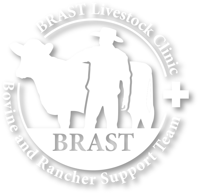 株式会社BRAST