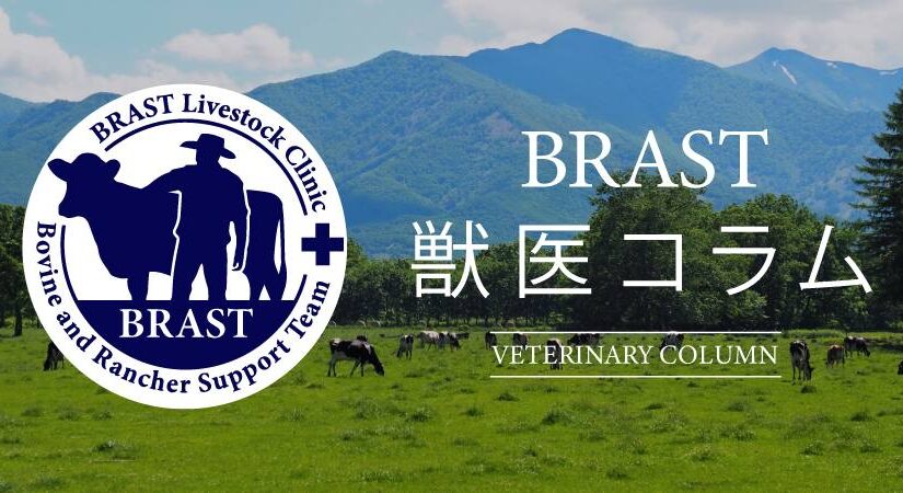 BRAST獣医師コラム